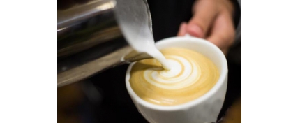 程序员被解雇开咖啡店，年销售200万